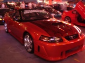 DSC09502 (Custom).JPG